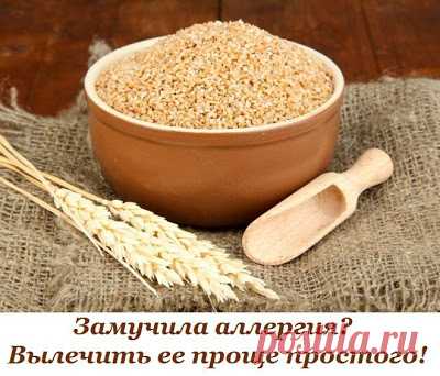 Замучила аллергия? Хватит пить таблетки 



Аллергия – это заболевание, для которого характерен комплекс симптомов (отёк, зуд, высыпания на коже, выделения из носа, чихание, бронхоспазм и многие другие). Сегодня аллергия является одним из с…