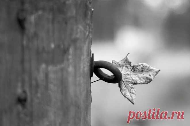 Искусство чёрно-белой фотографии Энрике Пелаэса