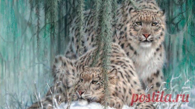 Скачать обои зима, снег, ирбис, снежный барс, живопись, леопарды, Ghost In The Moonlight, Larry Fanning, snow leopards, раздел живопись в разрешении 1708x960