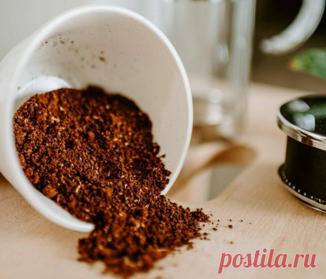 Как заварить молотый кофе в чашке: рецепт Кубинский, пряный, сливочный