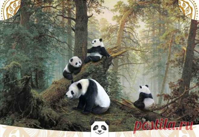 "Утро в лесу"