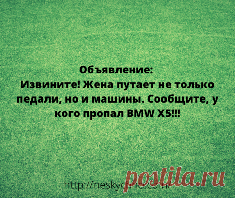 20+ житейских анекдотов для хорошего настроения – Нескучно