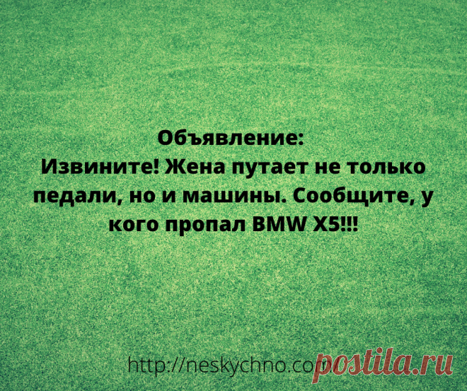 20+ житейских анекдотов для хорошего настроения – Нескучно
