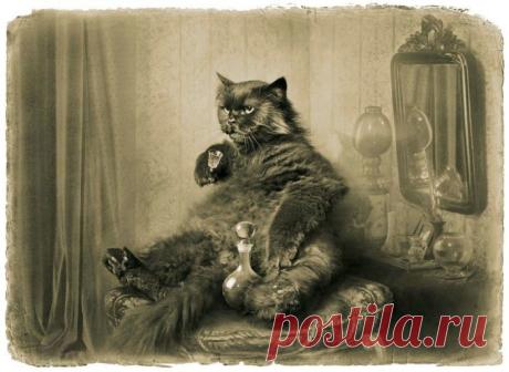 «Мастер и Маргарита»: потрясающая серия фотоиллюстраций