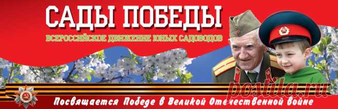 Вопрос-ответ