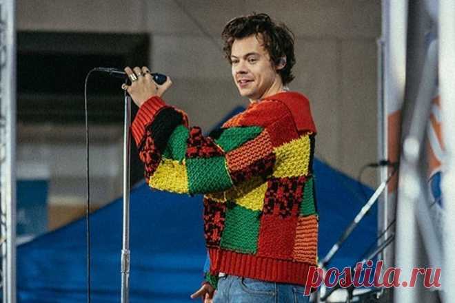 The V&A museum has procured the Harry Styles cardigan that started a TikTok furore – Dailylites