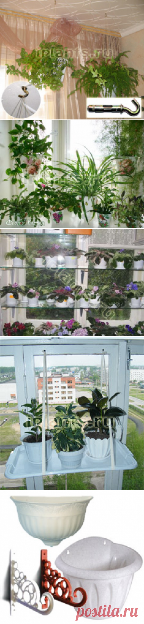 Цветы на подоконнике - полки для цветов