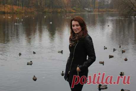 Мои закладки