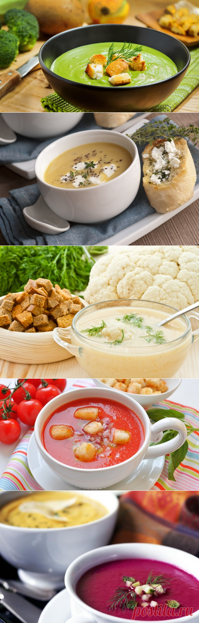 Самые вкусные крем-супы в копилку рецептов.