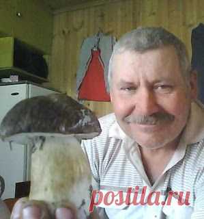 Советы огородников. Подкормка из грибов, как избавиться от нитратов.