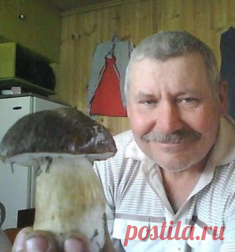 Советы огородников. Подкормка из грибов, как избавиться от нитратов.