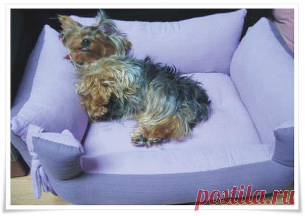 Шьем лежанку для членов семьи на четырех лапах — Сделай сам, идеи для творчества - DIY Ideas