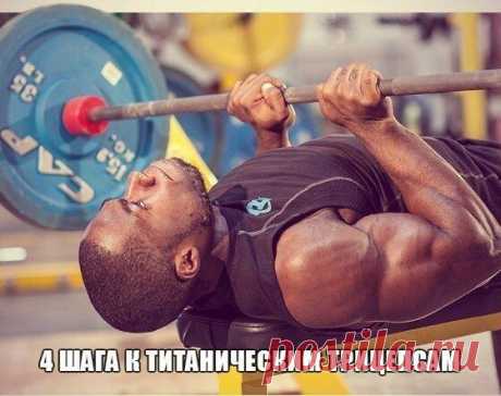 4 шага к титаническим трицепсам / Спорт Сильных!