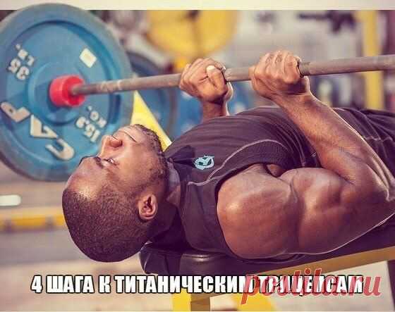 4 шага к титаническим трицепсам / Спорт Сильных!
