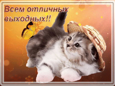 Картинки пожелания хороших выходных (35 фото) ⭐ Забавник