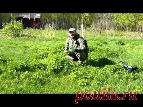 Заготовка крапивы 4 мая 2012 - YouTube