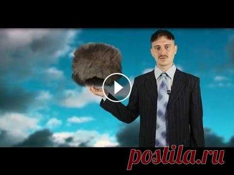 Шапка из кошки (kotoШапка) / HatCat Голосуй за меня на проекте " битва блогеров 2 " - Паблик-чат в Вайбере: Илья Прусикин в вк : Илья Прусикин в instagram :...