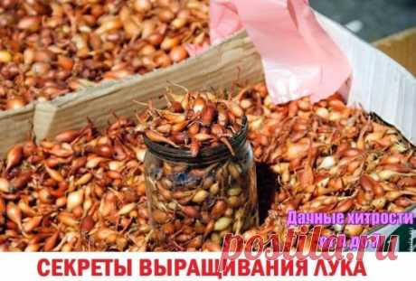 (66) Одноклассники