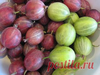 Вкусный Огород: Полезные свойства крыжовника