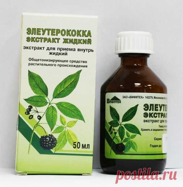 Надежда Мариуполя