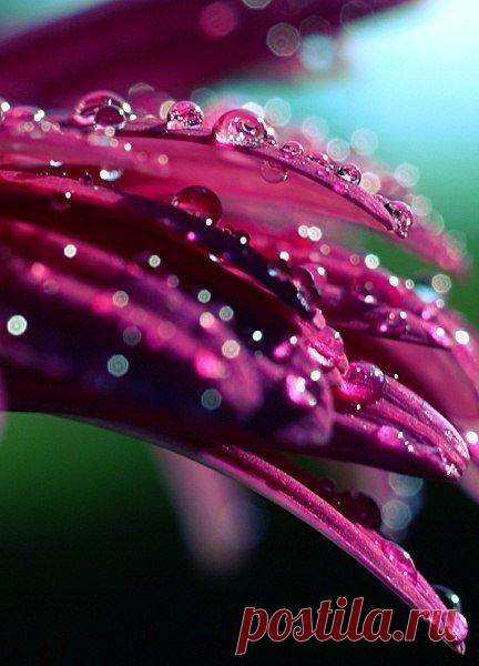 (8) Мой Мир@Mail.Ru