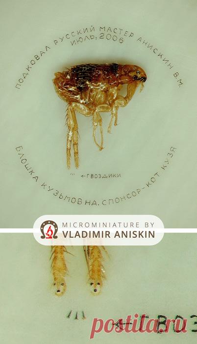 Микроминиатюрный