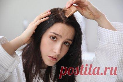 Врачи опровергли распространенные мифы о перхоти. Врач-гастроэнтеролог Артем Никитин и врач-дерматолог Анастасия Ромашкина назвали популярные мифы о перхоти. Так, Ромашкина заявила, что это состояние не появляется из-за недостаточного частого мытья головы. «Причиной [плохая гигиена] она не является, она является провоцирующим фактором», — сказала дерматолог.