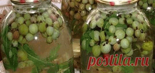 Компот из крыжовника «Мохито» на зиму. Очень вкусно