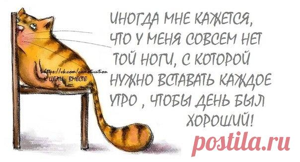 Прикольные фразочки в картинках - Смехотерапия - медиаплатформа МирТесен