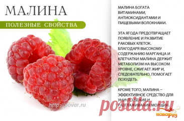 Мална полезные свойства
