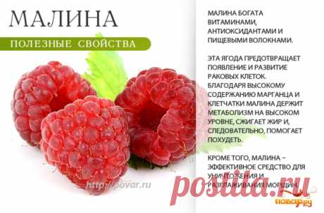 Мална полезные свойства