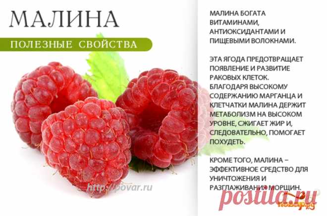 Мална полезные свойства