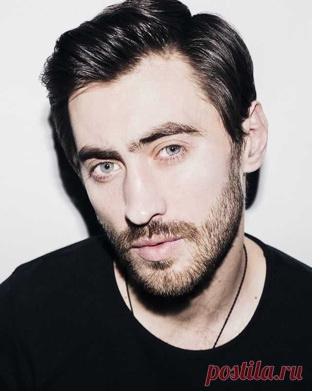 Дмитрий Чеботарёв