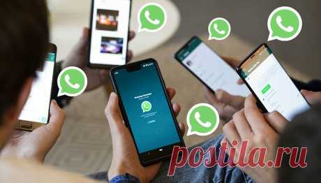10 секретных трюков в WhatsApp, о которых вы могли не знать. Часть 2 | prodevice.net - сайт о девайсах и гаджетах | Яндекс Дзен
