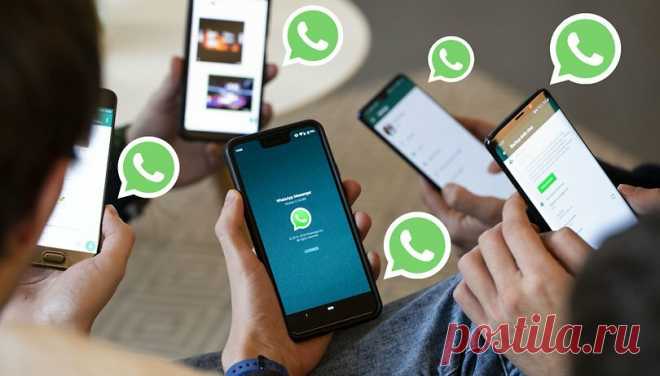10 секретных трюков в WhatsApp, о которых вы могли не знать. Часть 2 | prodevice.net - сайт о девайсах и гаджетах | Яндекс Дзен