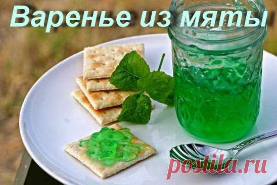 Варенье из мяты. 
Не только необычно и приятно на вкус, но и помогает при простудных и желудочных заболеваниях.
200-300 гр. мяты
0,5 л. воды (я налила побольше, просто так подумалось и сделала правильно)
1-2 лимона (лучше на вкус и запах)
1 кг. сахара (если побольше воды, то и сахара побольше)
Итак... собранные листочки мяты вместе с веточками и стебельками (а я и с цветочками), лимоны, порезанные вместе со 