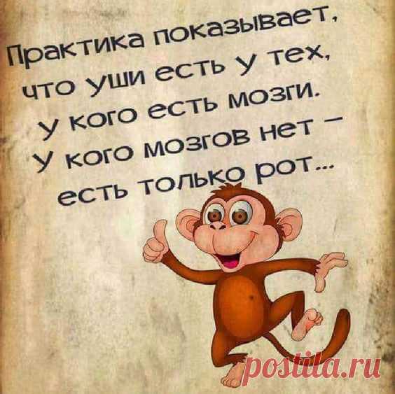 180d6a25f60a8f91a1e9be06eaf94161.jpg (564×563)