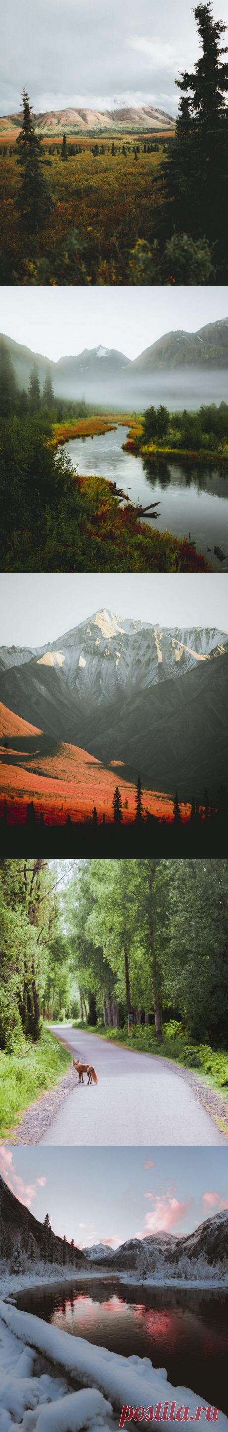 Фантастическая природа Аляски на снимках Патрика Туна / Туристический спутник