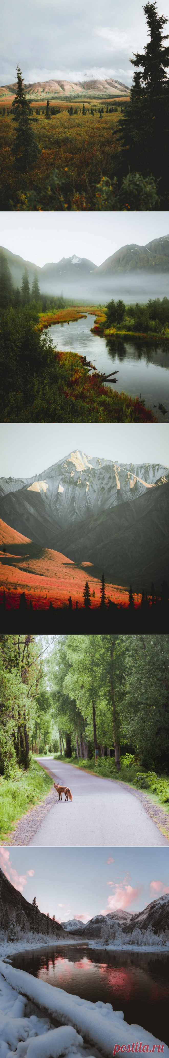 Фантастическая природа Аляски на снимках Патрика Туна / Туристический спутник