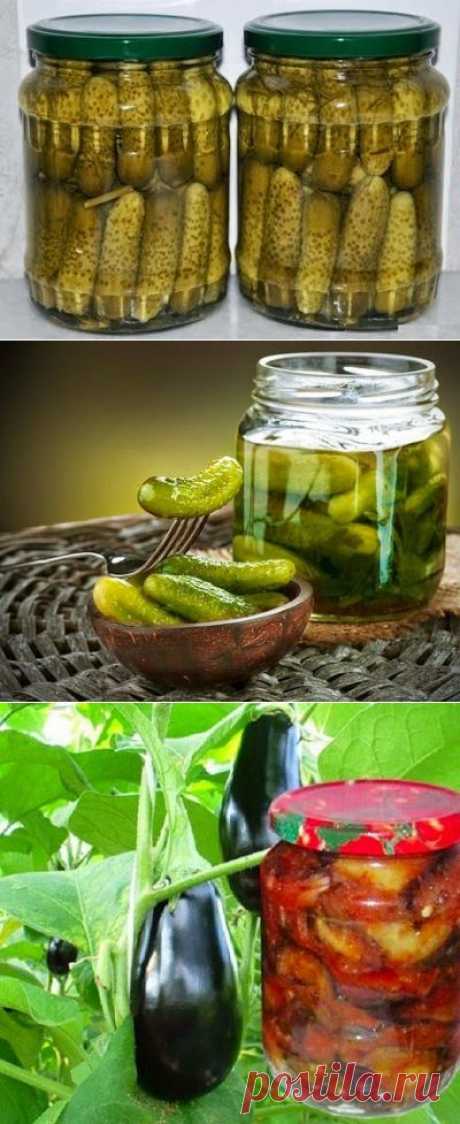 ✔ Вкусные Кулинарные Рецепты: Заготовки на зиму