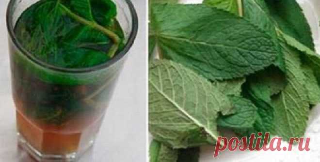 То, что сделает с твоей печенью 1 стакан этого напитка, можно назвать настоящим чудом! Если печень перегружена или плохо работает, мы сразу же это чувствуем. Слабость, нехватка энергии, головокружение, тошнота, боль в правом подреберье, проблемы с пищеварением и кожная сыпь — всё это признаки того, что с печенью непорядок. Очищение печени в домашних условиях возможно благодаря простому рецепту мятно-лимонного напитка! Абсолютно безопасное средство, которое тут же улучшает состояние организма, …
