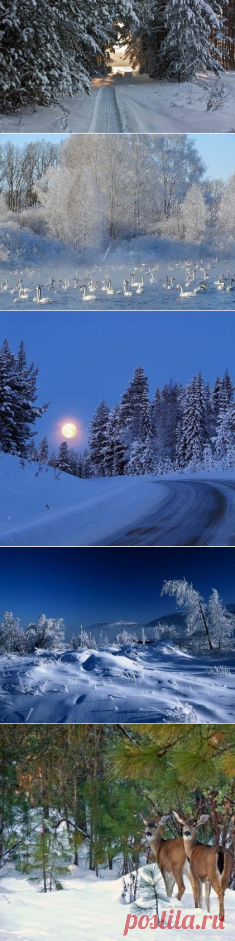 (27) Одноклассники