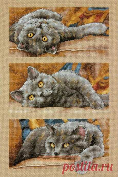вышивка.Кот