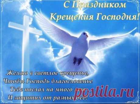 (5) Одноклассники