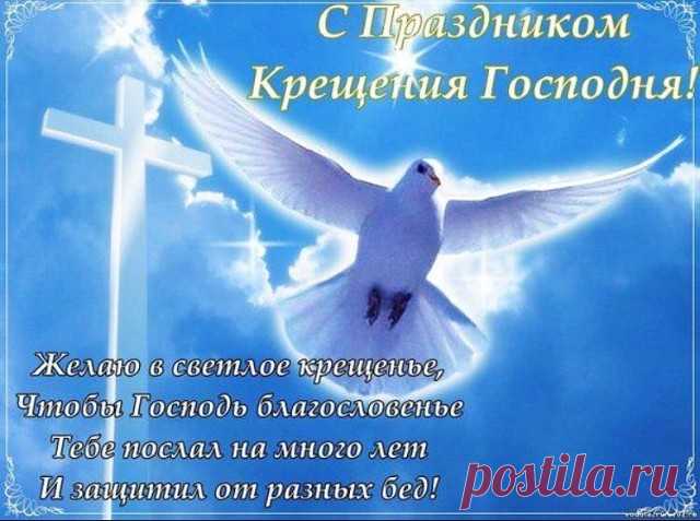 (5) Одноклассники