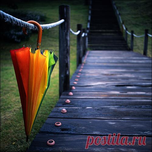 tumblr_mqlg6lfIbM1szm930o1_500.jpg (500×500)