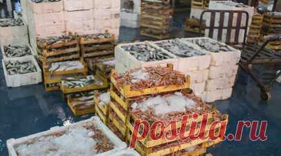 Генсек МИД Бразилии заявила о расширении поставок мяса и рыбы в Россию. Генеральный секретарь МИД Бразилии Мария Лаура да Роша сообщила, что страна собирается расширить номенклатуру поставок мяса и рыбы на российский рынок. Читать далее