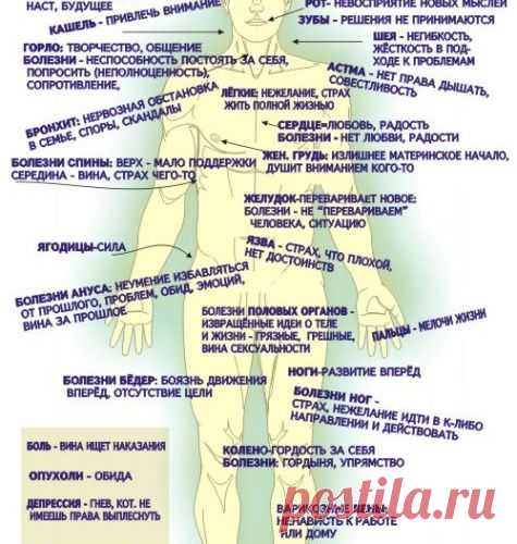 СТЕРЕОТИПЫ ПОВЕДЕНИЯ И ПСИХОСОМАТИКА.