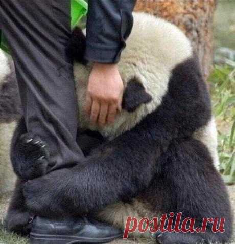 (22) Твиттер