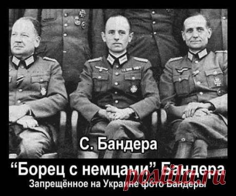 фашист? да ну шо вы, патриот...